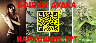 PSILOCYBIN Кандалакша