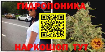 кокаин премиум Камышлов