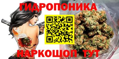 PSILOCYBIN Кандалакша