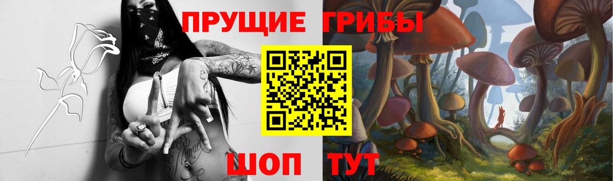 Галлюциногенные грибы Magic Shrooms Кстово